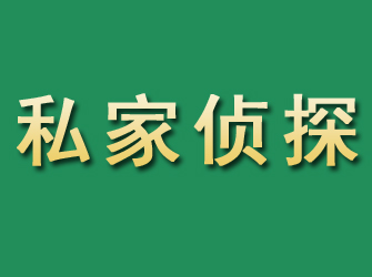 天山市私家正规侦探