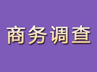 天山商务调查